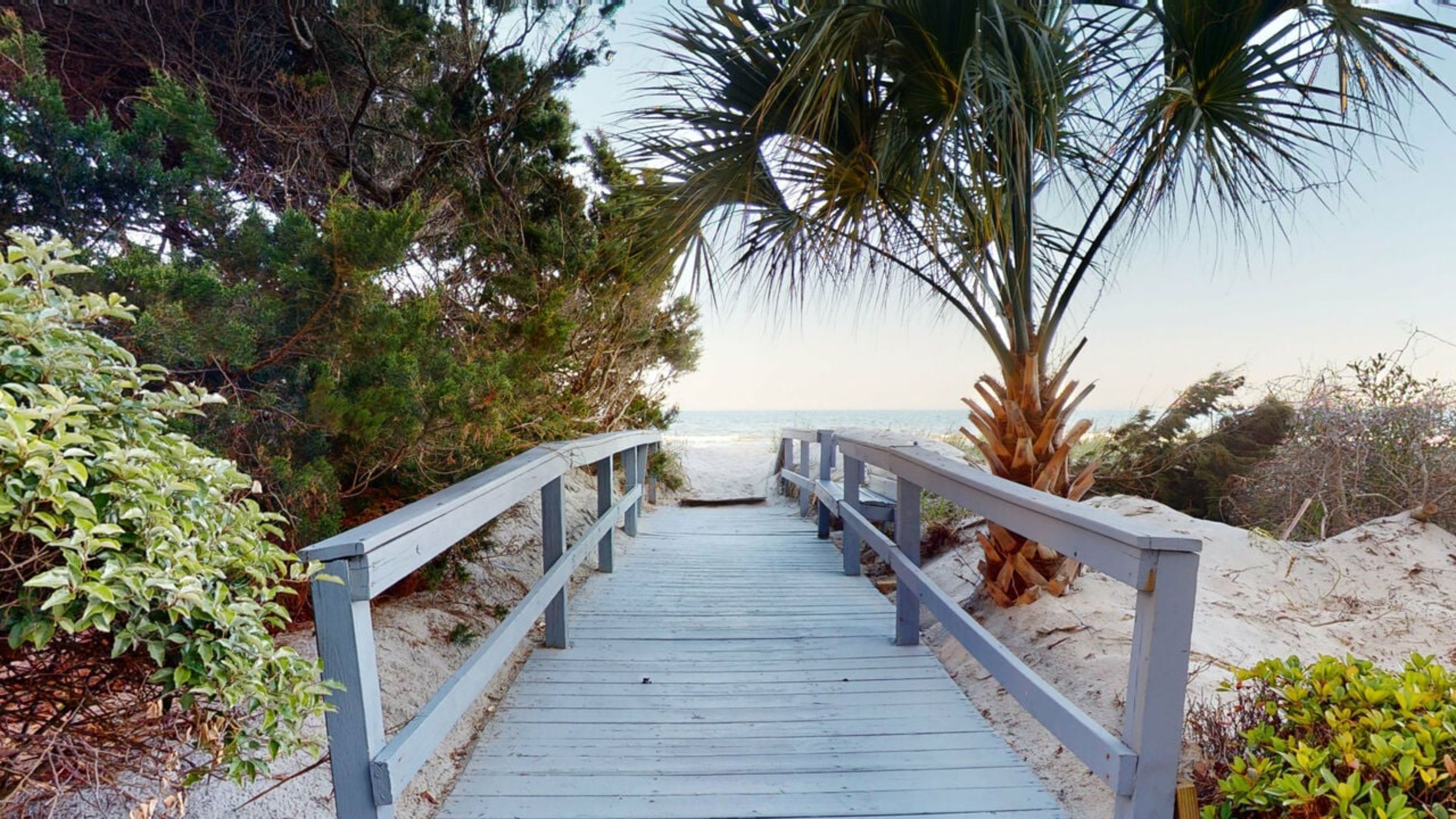 A wooden boardwalk leads to the beach, surrounded by palm trees and other vegetation.